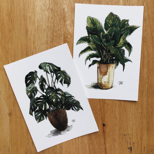 POTTED PLANT PRINTS (set of two 5x7”)