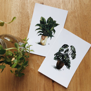 POTTED PLANT PRINTS (set of two 4x6”)