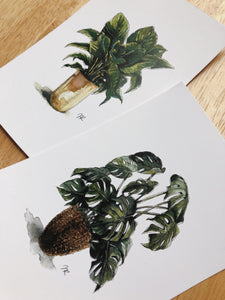 POTTED PLANT PRINTS (set of two 4x6”)
