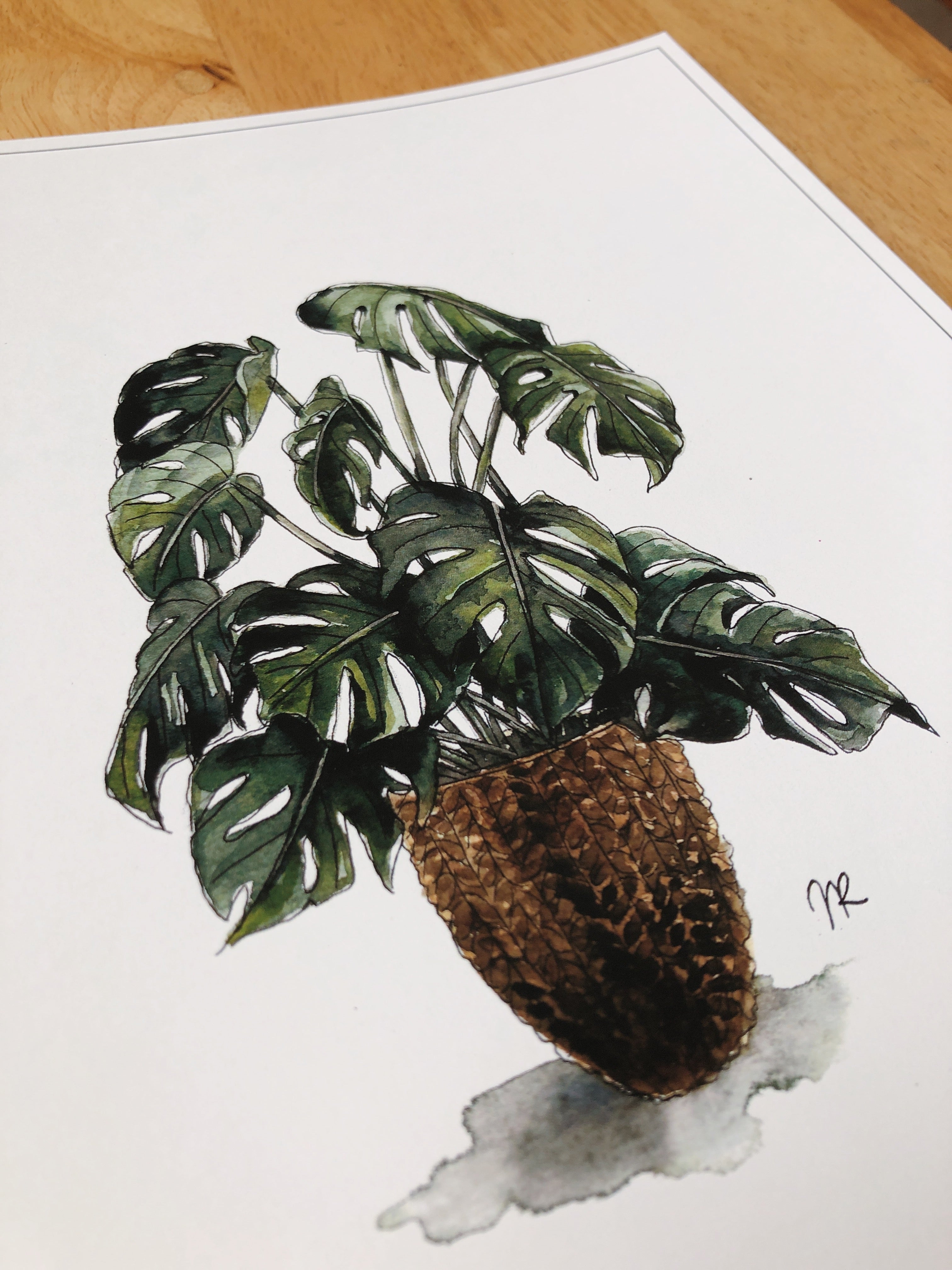 POTTED PLANT PRINT no.1