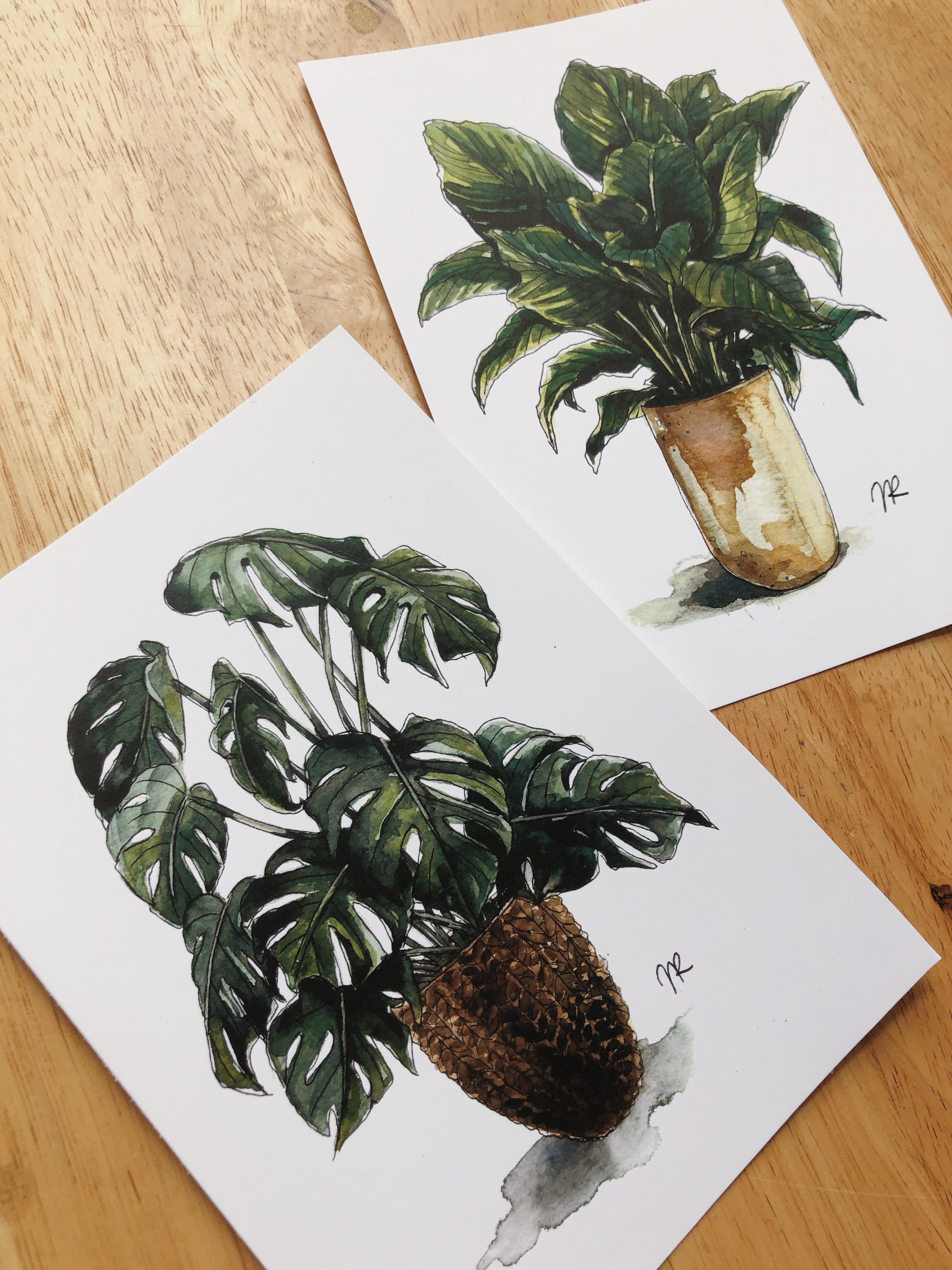 POTTED PLANT PRINTS (set of two 5x7”)